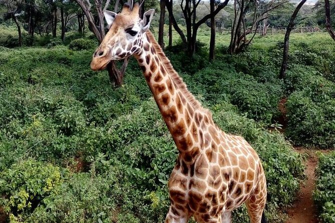 3 Days Masai Mara Safari Group Joining (Daily Departures) - Cancellation Policy