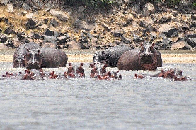 3 Days Nyerere National Park Safari (Selous Game Reserve) - Safety Considerations