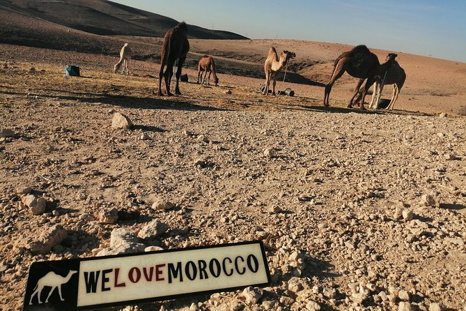 3 Days Private Desert Tour From Fes To Marrakech - The Sum Up