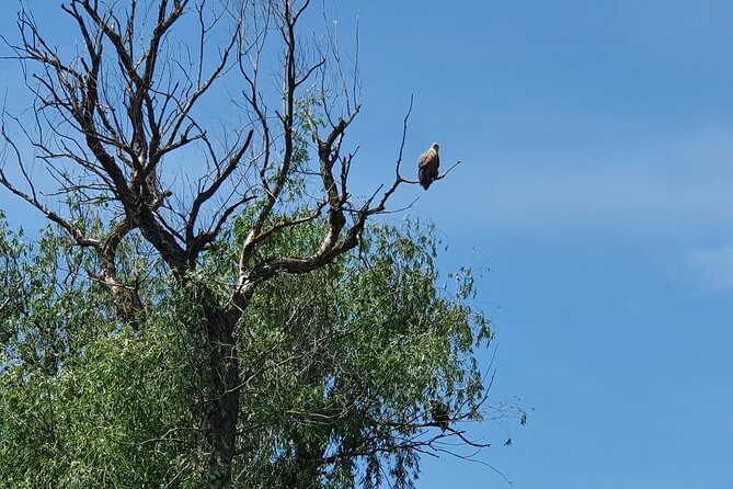 3 Days Private Tour to Danube Delta From Bucharest - Itinerary Overview
