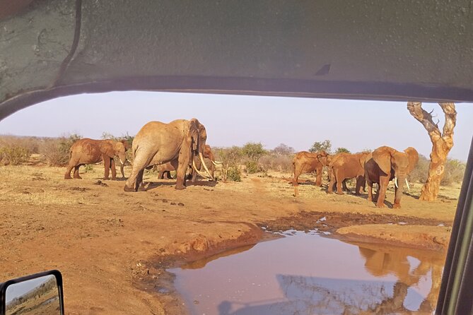 3 Days Tsavo East + Taita Hills/Saltlick Lodge From Malindi - Frequently Asked Questions