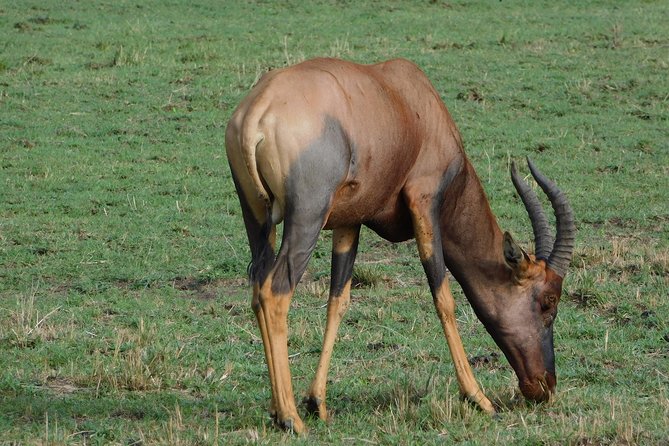 3 Days Tsavo East & West - Frequently Asked Questions