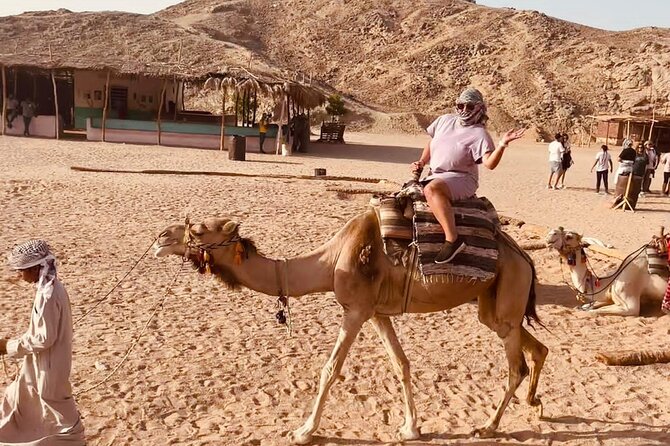 3-Hour Quad Bike Adventure in Marsa Alam - Booking Information and Pricing