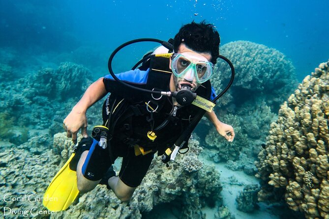 3-Hour Shore Dive or Snorkel Experiences in Aqaba - Reviews