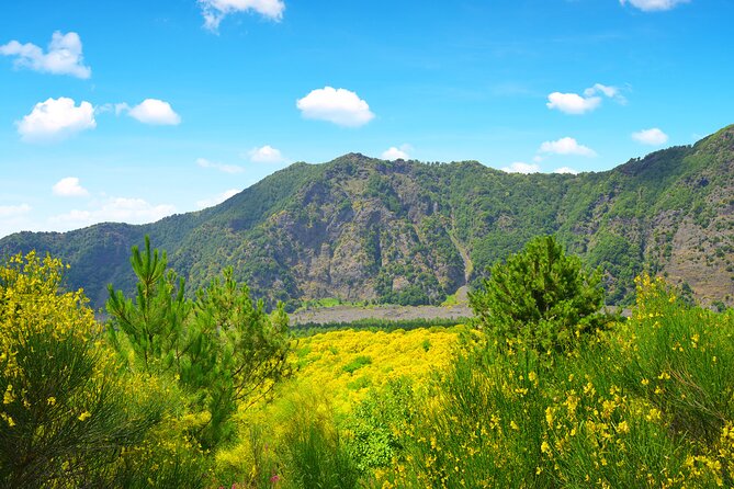 3 Hours Mount Vesuvius Crater Visit From Pompeii - Frequently Asked Questions