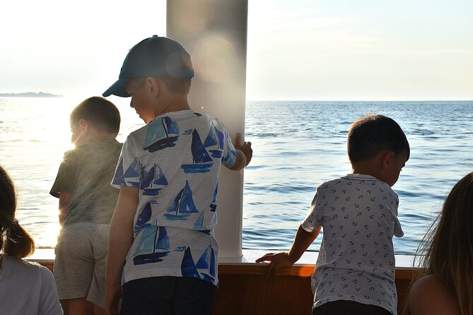3 Hours Shared Sunset and Dolphin Safari in Fažana - Boarding Details