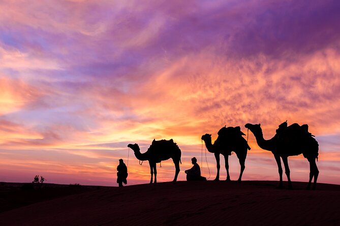 3-Night Private Jordan Joy Tour: Amman, Wadi Rum, Petra, Dead Sea - Pricing and Reviews