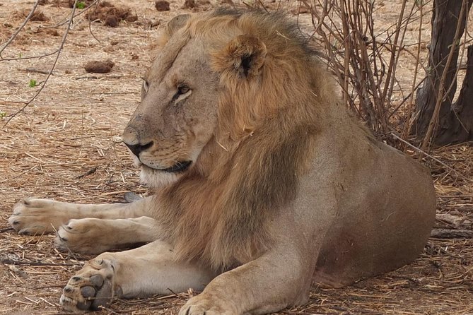 3 Nights 4 Days Ruaha National Park - Frequently Asked Questions