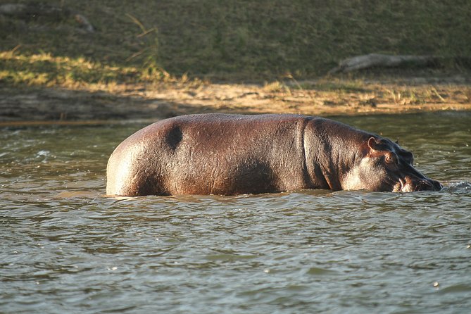 4-Day Discover Victoria Falls, Chobe and Hwange Park - Cancellation Policy