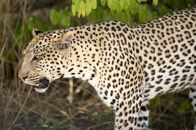 4 Day Etosha National Park and Swakopmund Camping - Booking and Reservation Details