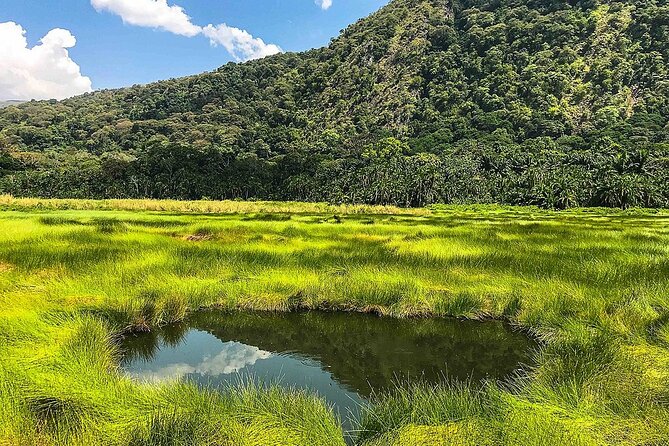 4 Day Gorilla Trekking in Uganda - Tour Itinerary