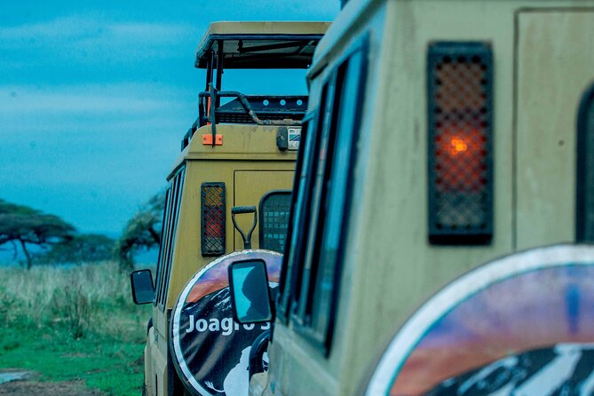 4-Day Group Joining Safari in Tanzania | Shared Safari - Safari Overview