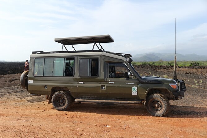 4-Day Maasai Mara and Lake Nakuru Safari From Nairobi - What To Expect