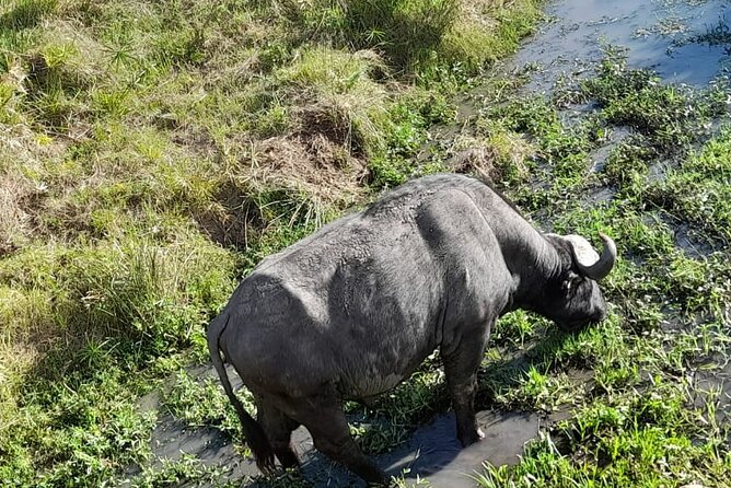 4-Day Masai Mara and Lake Nakuru Safari From Nairobi - Optional Activities