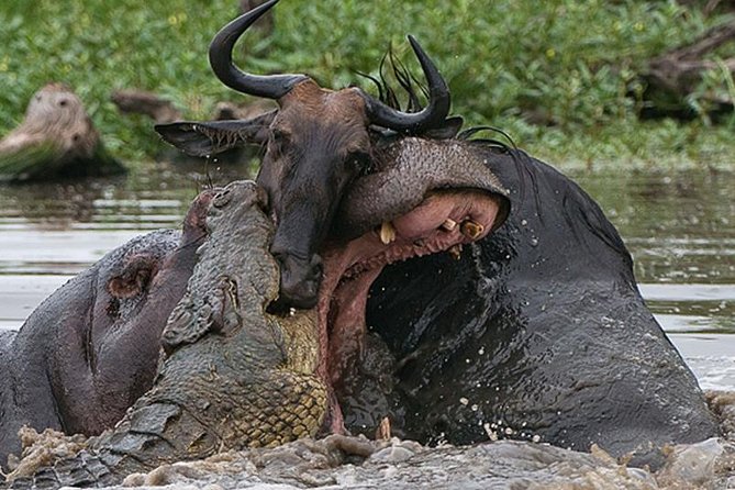 4 Day Private Camping Safari in Serengeti,Ngorongoro and Lake Manyara - Exclusions and Additional Costs