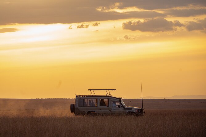4-Day Private Masai Mara Kenya Safari Tour - The Sum Up