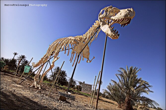 4 Day Private Tour From Fes to Merzouga Desert and Marrakech - Pickup and Drop-off