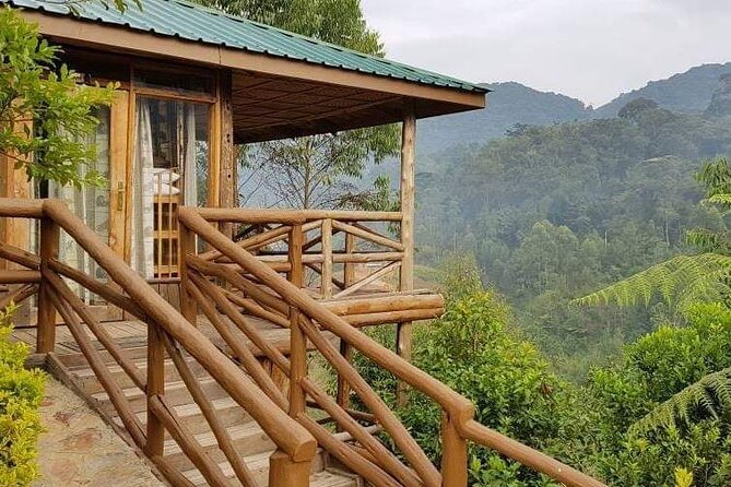 4-Day Private Tour in Bwindi Forest National Park - Tour Highlights
