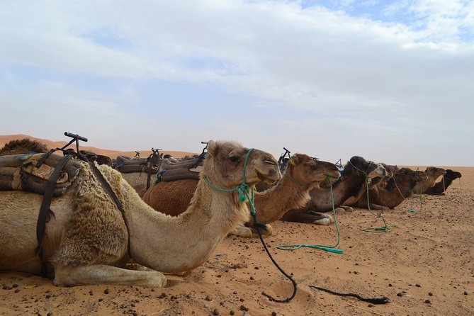 4-Day Sahara Desert Tour From Marrakech With Camel Ride - Inclusions and Exclusions
