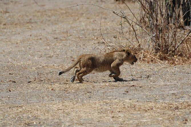 4 Days / 3 Nights Safari to Ruaha National Park - Essential Packing List