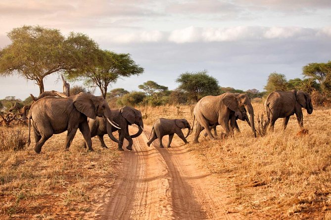 4 Days Camping Safari – Tarangire, Ngorongoro, Manyara, Olduvai Gorge - Additional Information