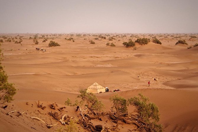4 Days Hiking To Desert - Price and Availability Information