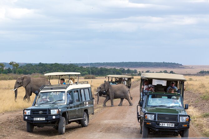 4 Days Private Lodge Safari Tour Tanzania - Tour Itinerary