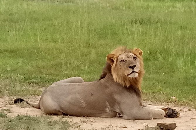 4 Days Safari to Mikumi NP and Udzungwa Mountain NP Mid - Range Accommodation - Pricing and Reviews