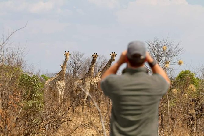 4 Days Victoria Falls Zimbabwe With Chobe National Park Safari Botswana and Livingstone Zambia - Cancellation Policy and Pricing