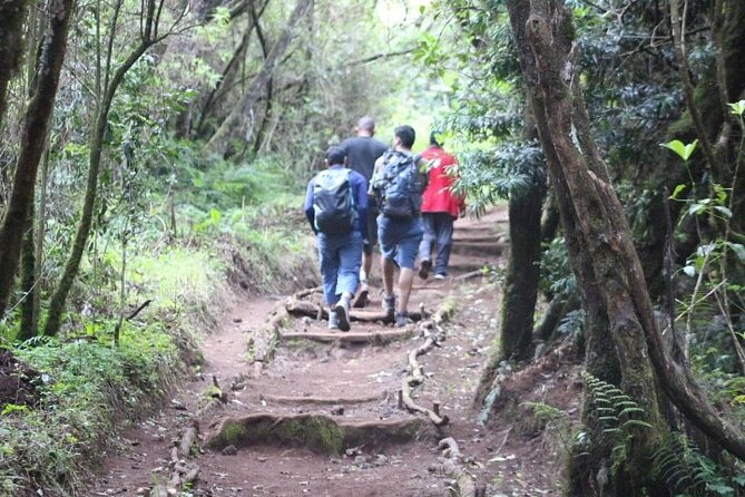 5-Day Kilimanjaro Hiking Tour | Climb Kilimanjaro - Marangu Route - Important Reminders