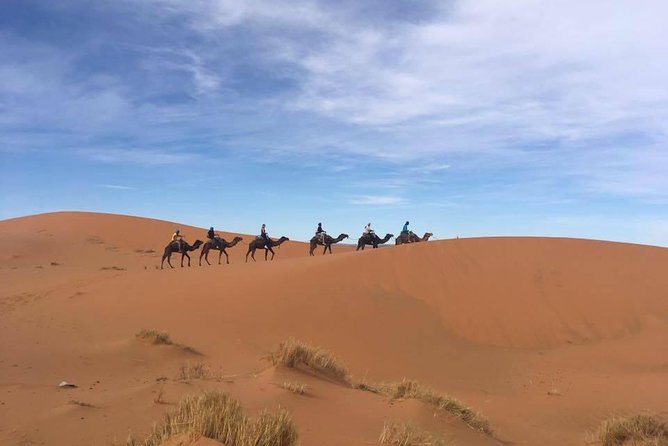 5 Day Morocco Private Tour From Marrakech to Fes - Additional Services