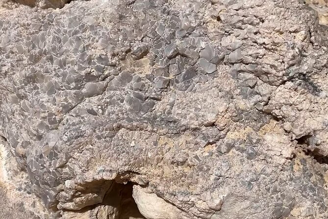 5-Day Private Exploration in Baharyia Oasis - What To Expect