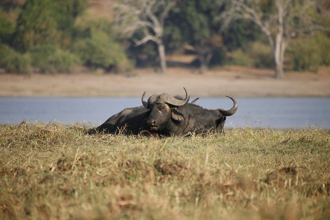 5 Day Victoria Falls and Chobe National Park Luxury Accommodated Tour - The Sum Up
