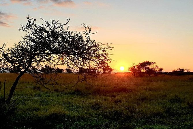 5 Days African Safaris - The Sum Up