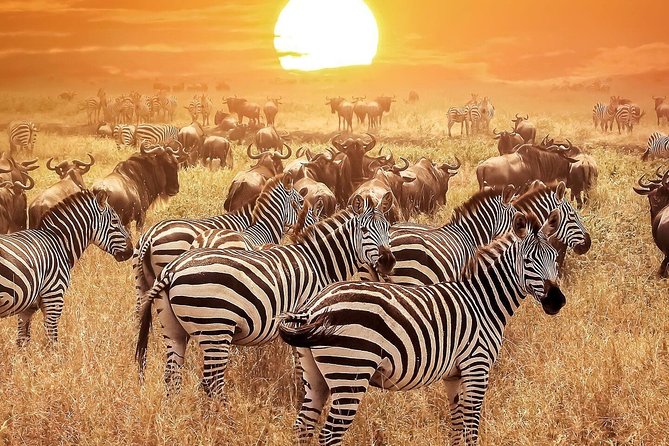 5 Days - Best Of Tanzania Northern Zone, Lodge Safari - The Sum Up