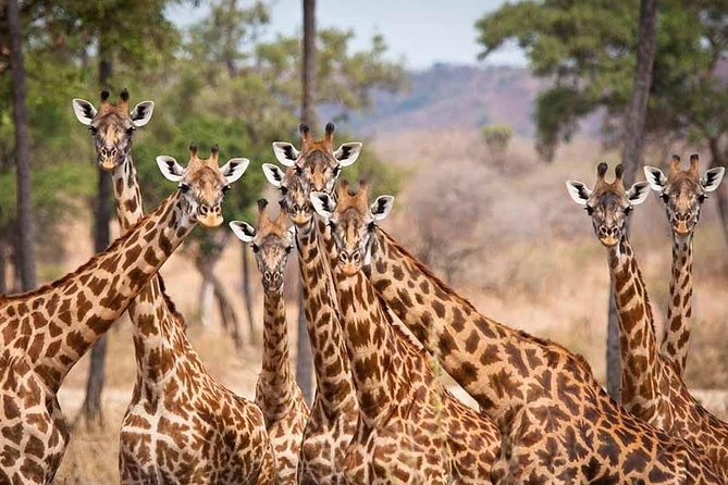5 Days Ruaha National Park Safari - The Sum Up