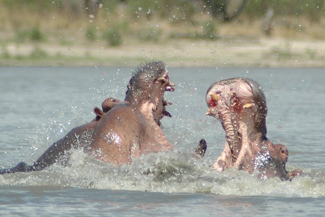 5 Days Safari to Selous & Mikumi - The Sum Up