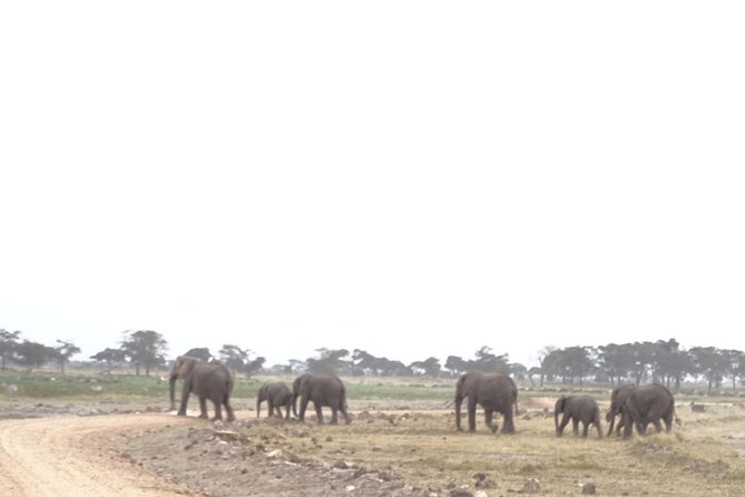 5 Days Safari Tsavo East Voyager Ziwani Amboseli Tsavo West Kilanguni Serena Ldg - Health and Safety Guidelines