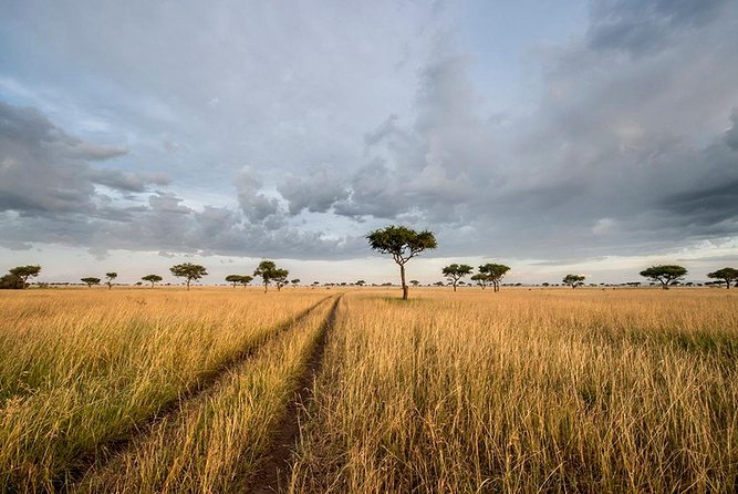 5 Days Serengeti Migration Safari - Meal Inclusions