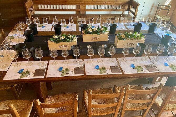5 Wines Tasting on Custoza Hills With Vineyard Visit - Cancellation Policy