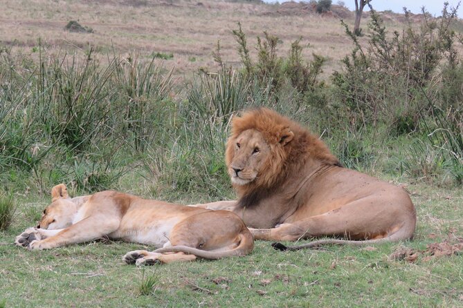 5Days 4Nights Masai Mara, Lake Nakuru & Hells Gate Lake Naivasha Budget Safari - Safari Itinerary Overview