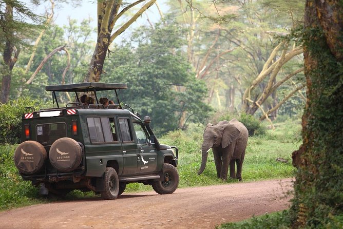 6 Day Luxury Lodge Wildlife Safari :Northern Tanzania on 4x4 Jeep - Customer Reviews