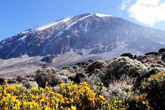 6 Day Machame Route - Climb Mount Kilimanjaro - Route Overview