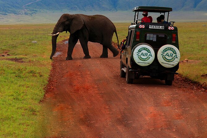 6 Days 5 Night Safari - The Sum Up