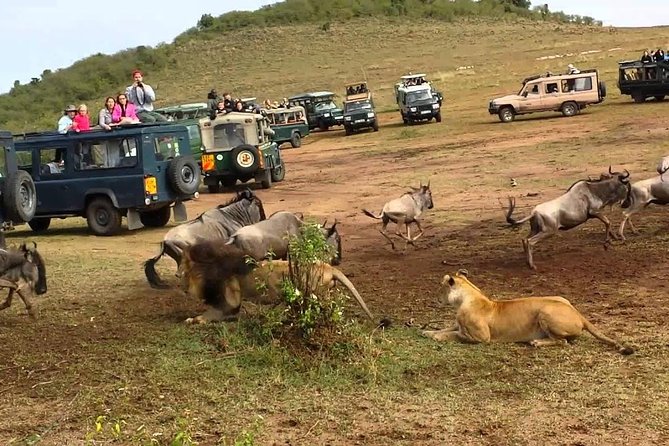 6 Days Join Group Safari Serengeti,Ngorongoro, Lake Manyara, Tarangire, Arusha - The Sum Up