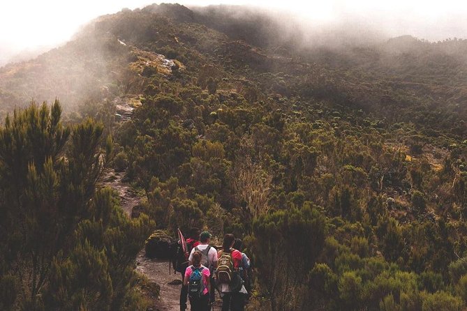 6 Days Mount Kilimanjaro Marangu Route - Acclimatization Tips for High Altitudes