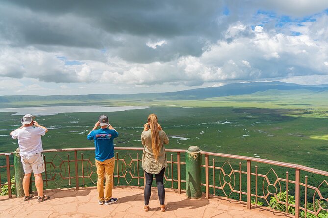 6-Days Private Midrange Safari: Serengeti & Mt Kilimanjaro Hike - Reviews and Ratings