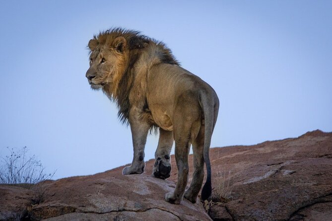 6 Days Safari : Manyara, Ngorongoro, Serengeti & Tarangire National Park - The Sum Up