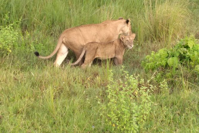 6 Days Selous ,Mikumi Udzungwa National + Boat Safari +Masai Culture - Transportation and Pickup Details