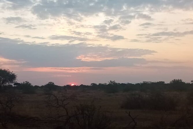6 Days Serengeti Budget Safaris - Meals and Dining Experience